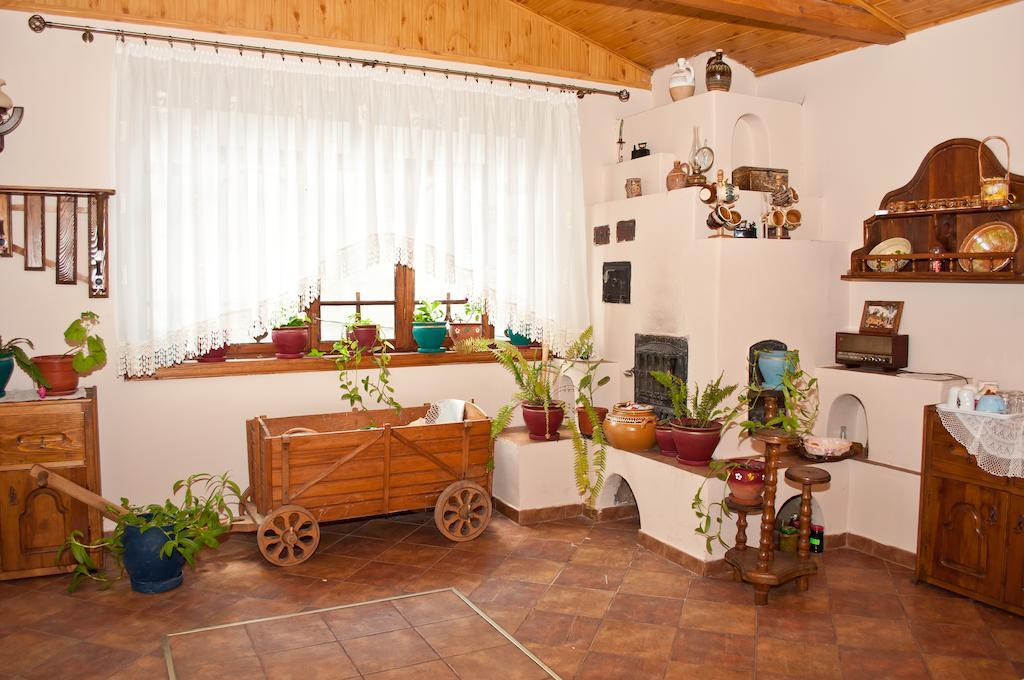 Casa Lidia Hotel Lepşa Esterno foto